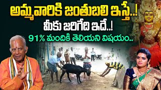 జంతుబలి ఇస్తే మీకు జరిగేది ఇదే..!! | Janthu Bali | TKV Raghavan | SumanTV Spiritual