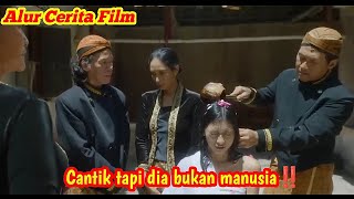 Ternyata anaknya bukan manusia!!alur cerita film horor