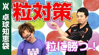 粒対策の基礎！粒の性質を覚えてラリーできるようになる方法【卓球知恵袋】