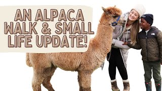 WHY HAVEN'T WE BEEN ON YOUTUBE?