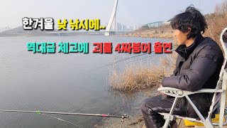 한겨울 낮낚시에 역대급 체고에 괴물 4짜붕어 출현 청라수로 붕어낚시