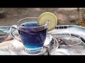 relaxing butterfly pea tea making অপরাজিতা ফুলের চা