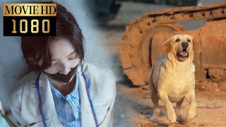 【Movie】Girl was kidnapped and a dog successfully rescued her by sniffing through his nose#照亮你 #愛情電影