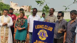 ஆலங்குளம் உலகமீட்பர் ஆலயம் இடத்தில் மரக்கன்று நடும் விழா- சேர்மன் திவ்யா மணிகண்டன் பங்கேற்பு