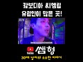 캄보디아 씨엠립 유럽인이 많은곳 shorts