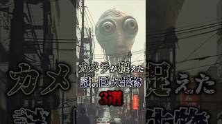 カメラが捉えた謎の巨大生物3選#shorts #巨大 #未確認生命体