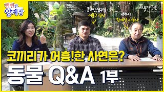 코끼리🐘가 호랑이🐅처럼 어흥!한 사연은?ㅣ동물 Q&A 1부