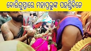 ବୋରିଗୁମ୍ମା ରେ କିଭଳି ହେଲା ମହାପ୍ରଭୁଙ୍କ ପହଣ୍ଡିବିଜେ ଦେଖନ୍ତୁ ।। #borigumma #koraput