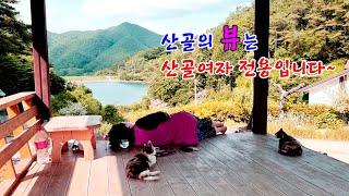 부부가 외딴 산골에 사는 이유! 산골의 뷰는 산골여자 전용입니다~💦💖