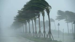 Dhnuskodi Cyclone/தனுஷ்கோடி புயல்