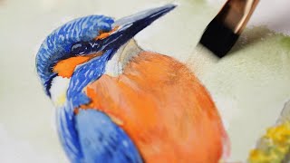 Watercolor Kingfisher Painting Tutorial Using the Primary Colors