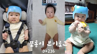 [육아일기] 또롱이 D+236 / 보는 사람마다 순하다고 듣는 또롱이 l Korean Baby Parenting Diary