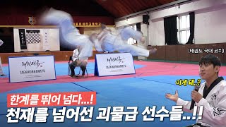 '천재 위에 괴물급 선수들 등장..?' 태권도 무차별 서바이벌 [홀스게임 챔피언십]  l Taekwondo Survival: Horse Game Championship