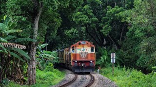 Guruvayur Punalur Express on Kollam - Punalur section