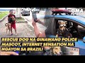 Rescue dog na ginawang police mascot, internet sensation sa Brazil! | GMA News Feed