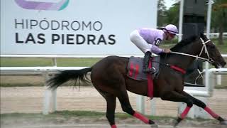 230224 c07 -  SHOOTER (BRZ) - HIPODROMO LAS PIEDRAS