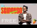 (FREE) SGIDONGO SAMPLE PACK VOL.3 | AMAPIANO