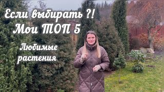 Пять растений, которые посадила бы в первую очередь