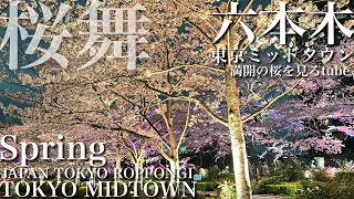 🌸【4K】六本木東京ミッドタウン.満開の桜の様子🌸ROPPONGI/TOKYO MIDTOWN.Cherry-blossom viewing🌸🇯🇵TOKYO Travel