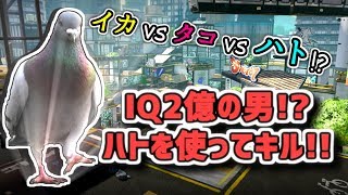 【全国出場XP2700↑】IQが高すぎてハトを使ってキルする男【のすけ/splatoon2/スプラトゥーン2】