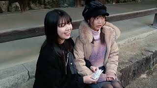 2025年1月4日Degliht初詣交流会、吉備津神、ちのちゃん、Misoraちゃんの動画です