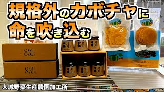 清美と清美がカボチャをとことん活かす！「野菜」「生産」「農園」「加工」 地域密着型YouTube沖縄 #79