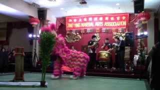 Jing Ying Martial Arts Chinese New Year - Drunken - Year of the Horse