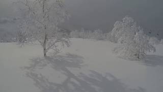 20171217Morning  Niseko Annupuri Champion Course top to bottomニセコアンヌプリ朝