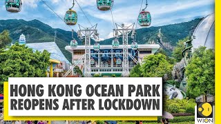 Hong Kong: Ocean park reopen it's doors after four months of Coronavirus lockdown