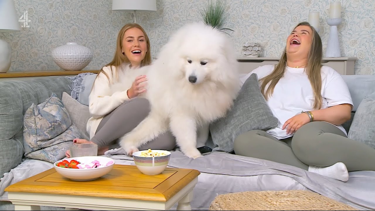 Gogglebox S24e02 Youtube