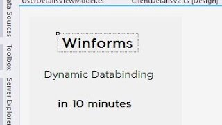 Winforms Manual Databinding