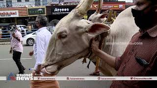 പരാതി പറഞ്ഞ് മടുത്തു; വളക്കൈ, കൊയ്യം മയ്യില്‍ റോഡിന്റെ ദുരവസ്ഥയില്‍ കാളവണ്ടി പ്രതിഷേധം | Protest