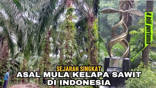 PERTAMA KALI KELAPA SAWIT DI INDONESIA TERNYATA..!!!