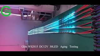 Glite WS2815 30LED AGING TESTING