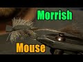 Morrish Mouse - Best Alaska Rainbow Trout Fly For Mouse Eaters! - Ken Morrish Fly Pattern