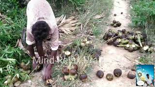 நுங்கு வேற லெவல்வீடியோ  பகுதி 3    புதுக்கோட்டை மாவட்டம் பொன்னமராவதி தாலுகா. தேவன் பட்டி கிராமம். 👈😋