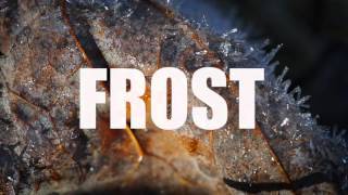 Frost Timelapse