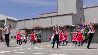 「うちなだ愉快な仲間たち」YOSAKOIソーラン日本海彦根三十五万石2017/6/17(土)【JA稲枝会場】