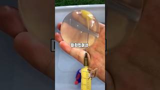 13년만에 연락온 연끊은 아빠