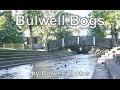 Bulwell TV 1 - Bulwell Bogs