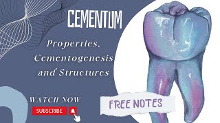 CEMENTUM {PROPERTIES, CEMENTOGENESIS, \u0026 STRUCTURES} | QUICK REVISION | (FREE NOTES)