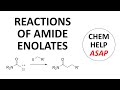 formation & reaction of amide enolates