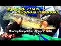 Fishing Camping di Spot Resort Mangkok [ Part 1 ]