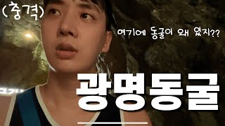 와.. 진짜 와 소리만 나옵니다 도심속 테마파크 광명동굴을 직접 방문했습니다 🥶 당일치기 최고의 선택지