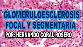 GLOMERULOESCLEROSIS FOCAL Y SEGMENTARIA ( TEJIDO  CICATRICIAL  DE FILTRACIÓN DEL RIÑON )