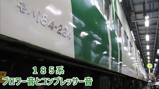 185系 ブロワー音とコンプレッサー音