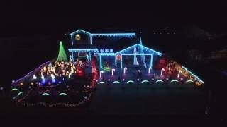 Frozen 2016 Christmas Light Show-Corona Lights