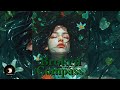 Echo Galaxy- Broken compass (Melody song)