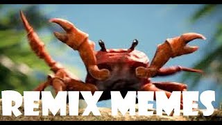Roblox Crab Rave Song Id - roblox music code crab rave видео онлайн rapsodosru