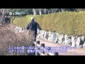 津ぅコレ！「津市の名所・史跡・施設紹介」29.1.23